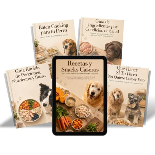 Recetas caseras para perros mayores